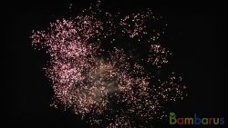 КБ-0255 Сезам | фото №0