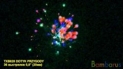 TXB828 DOTYK PRZYGODY | фото №0