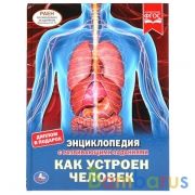 КАК УСТРОЕН ЧЕЛОВЕК. ЭНЦИКЛОПЕДИЯ А4 С РАЗВИВАЮЩИМИ ЗАДАНИЯМИ. 197Х255ММ, 48 СТР. УМКА в кор.15шт | фото №0