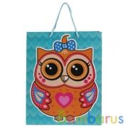 Пакет подарочный глянцевый совы, 26х32х14см в пак. "Играем вместе" уп-12шт в кор.6уп | фото №0