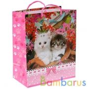 ПАКЕТ ПОДАРОЧНЫЙ "ИГРАЕМ ВМЕСТЕ" ДОМАШНИЕ ЖИВОТНЫЕ КОШКИ, 26Х32Х14СМ, ГЛЯНЦ. В ПАК УП-12ШТ в кор.6уп | фото №0