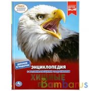"УМКА". ХИЩНЫЕ ПТИЦЫ (ЭНЦИКЛОПЕДИЯ А4). ТВЕРДЫЙ ПЕРЕПЛЕТ. БУМАГА МЕЛОВАННАЯ 130Г в кор.15шт | фото №0