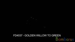 FD4037 GOLDEN WILLOW TO GREEN 4шт | фото №0