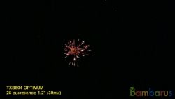 TXB804 OPTIMUM | фото №0