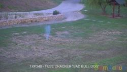 TXP 340 Fuse cracker, 1 bang (уп-20 шт) (1/100) (NEW) | фото №0