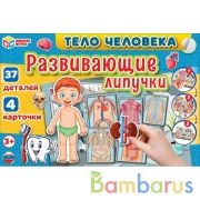 Тело человека. Игра с липучками в коробке. Умные игры в кор.20шт | фото №0