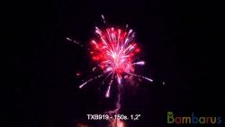 TXB919 | фото №0