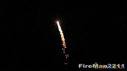 FR3132 SALUTE WITH TAIL 3" | фото №0