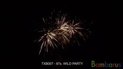 TXB007 WILD PARTY | фото №0