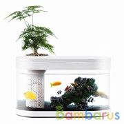 Аквариум Xiaomi Eco Fish Tank | фото №0