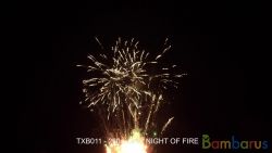 TXB011 ONE NIGHT OF FIRE | фото №0