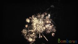 СБ-0094 Канкан | фото №0