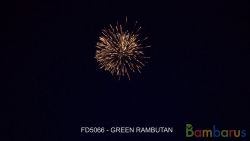 FD5066 GREEN RAMBUTAN5" | фото №0