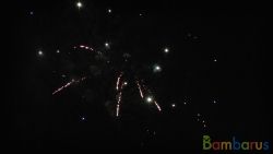 КБ-0493 Пикассо | фото №0