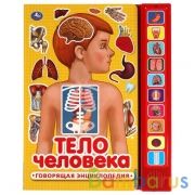 Тело человека (10 зв. кн. говорящ.) 233х302мм 10стр Умка в кор.24шт | фото №0