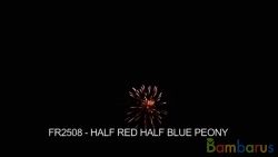 fr2508 ( Шар 2,5" ) HALF RED HALF BLUE PEONY  2.5" | фото №0