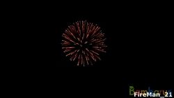 fr4021 WHITE CHRYS. 4 шт | фото №0