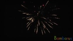 СБ-0093 Белорусочка | фото №0