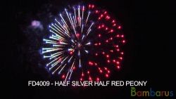 FD4009 HALF SILVER HALF RED PEONY | фото №0