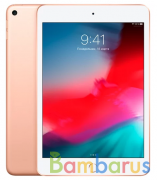 Планшет Apple iPad mini (2019) Wi-Fi + Cellular 256Gb (Gold) | фото №0