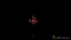 TXB283 BATTLEFIELD | фото №0