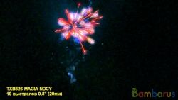 TXB826 MAGIA NOCY (18/1) | фото №0