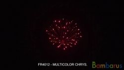 fr4012 MULTICOLOR CHRYS. | фото №0