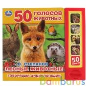 "Умка". Лесные животные В. Степанов (5 звук. кнопок, Говорящая энциклопедия). 200х175мм в кор.32шт | фото №0