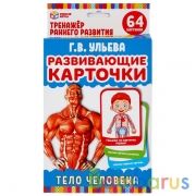 ТЕЛО ЧЕЛОВЕКА. Г.В.УЛЬЕВА "УМНЫЕ ИГРЫ" КАРТОЧКИ РАЗВИВАЮЩИЕ (32 КАРТОЧКИ 107Х157ММ) В КОР в кор.32шт | фото №0