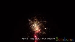 TXB015  BEAUTY AND THE FIRE | фото №0