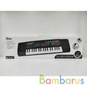 Электроорган  (220v) с микрофоном в кор. в кор.24шт | фото №0