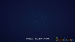 fr2523 ( Шар 2,5" ) SILVER CHRYS | фото №0