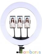 Кольцевая лампа HQ-21 N 55см + Штатив 200 см | фото №0
