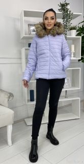 Фиолетовая Женская Куртка / Осень - Зима