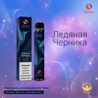 SKY 800 затяжек Ледяная Черника 2% | фото №0