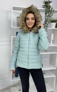 Светло зеленая Женская Куртка / Осень - Зима