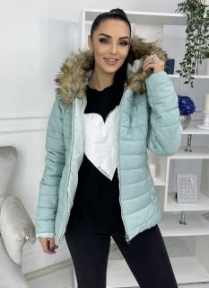 Светло зеленая Женская Куртка / Осень - Зима