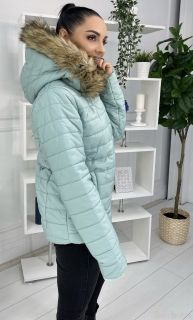 Светло зеленая Женская Куртка / Осень - Зима