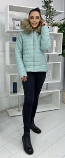 Светло зеленая Женская Куртка / Осень - Зима